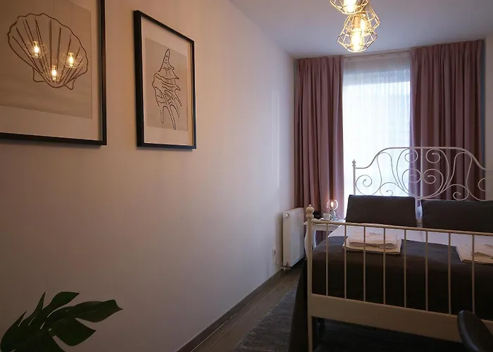 Irs Royal Irs Cztery Oceany