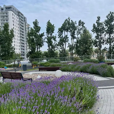 公寓 Irs Royal Irs Cztery Oceany *